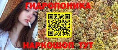 соль ск Заволжье