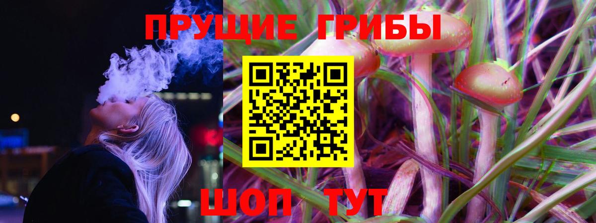 Кохма  Псилоцибиновые грибы мухоморы  Вход с VPN 